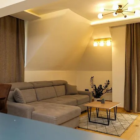 Apartment Golija *